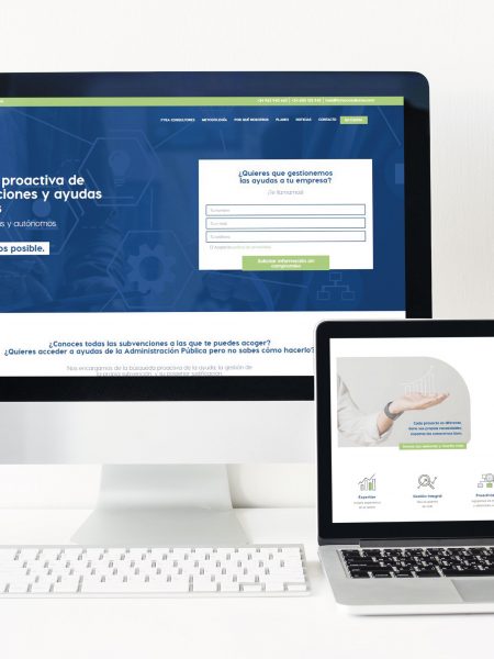 Diseño y Desarrollo Web: Fyra Consultores